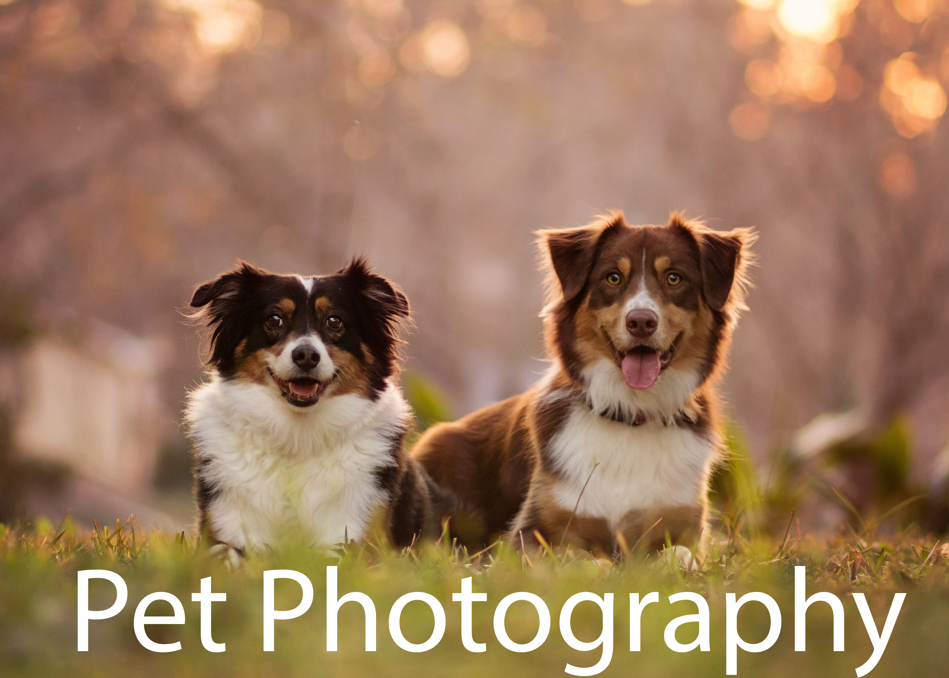 baa_MG_8288